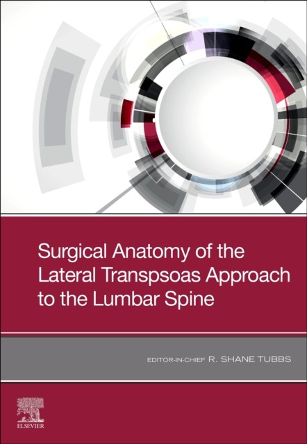 Surgical anatomy of the lateral transpsoas approach to the lumbar spine