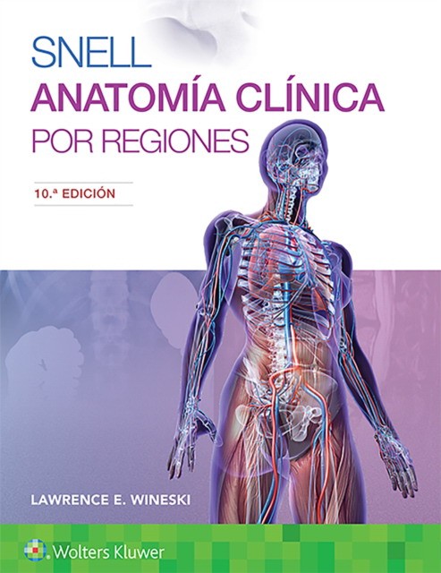 Snell Anatomia Clinica Regiones 10E Pb