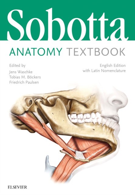 Sobotta Anatomy Textbook: English Edition with Latin Nomenclature