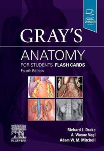 Gray's Anatomy for Students Flash Cards