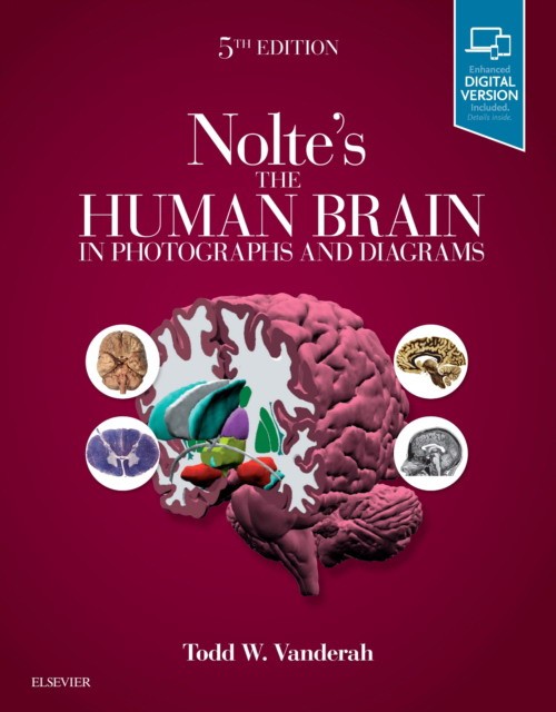 Nolte's The Human Brain in Photographs and Diagrams, 5 ed.