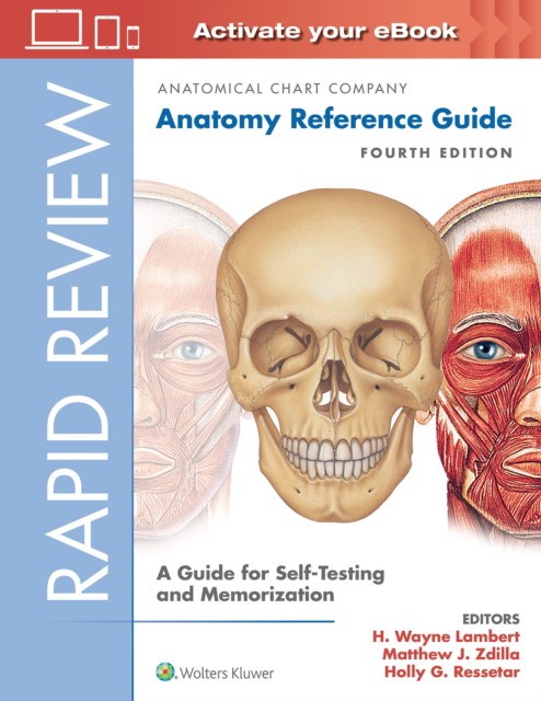 Rapid Review: Anatomy Reference Guide Rapid Review: Anatomy Reference Guide