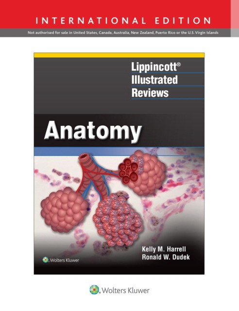 Lippincott Illustrated Reviews: Anatomy, 1e