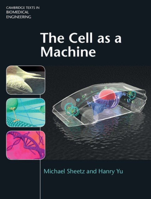 Cell as a machine