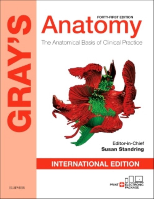 Gray's Anatomy, The Anatomical Basis of Clinical Practice IE 41 Edition