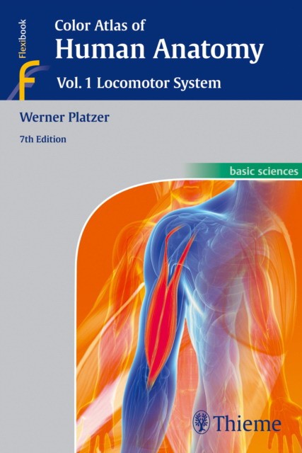 Color Atlas of Human Anatomy: Vol 1. Locomotor System, 7 ed.