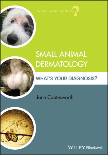 Small Animal Dermatology: What's Your Diagnosis'