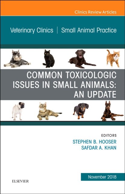 Alternatives to Opioid Analgesia in Small Animal Anesthesia, An Issueof Veterinary Clinics of North America: Small Animal Practice,49-6