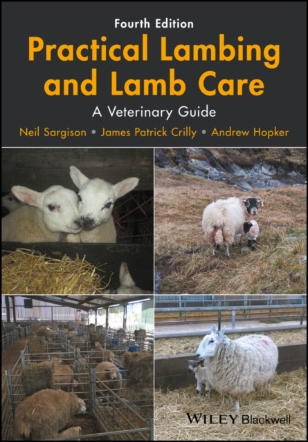 Practical Lambing and Lamb Care: A Veterinary Guide