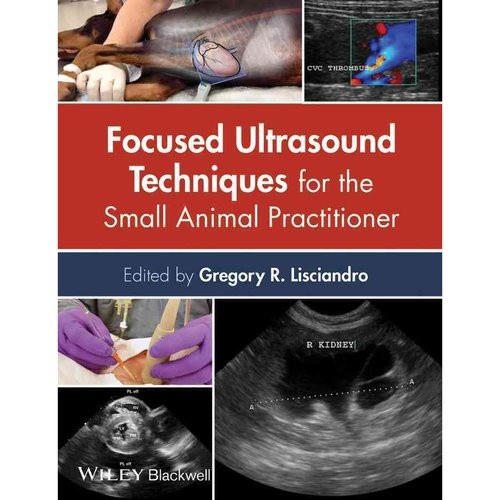 Focused Ultrasound Techniques for the Small Animal Practitio