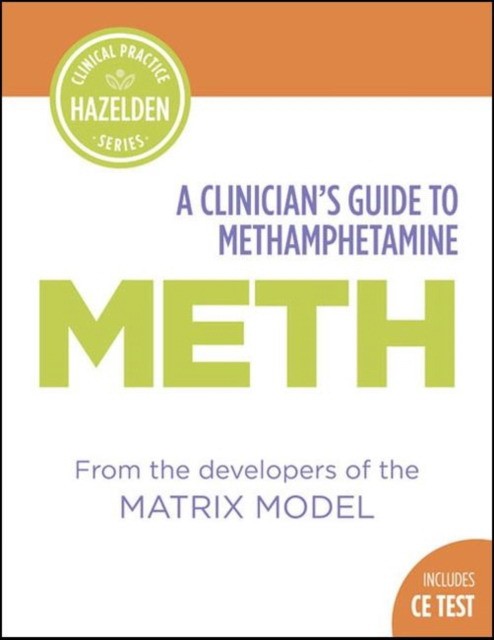 A Clinician's Guide to Methamphetamines: Includes CE Test