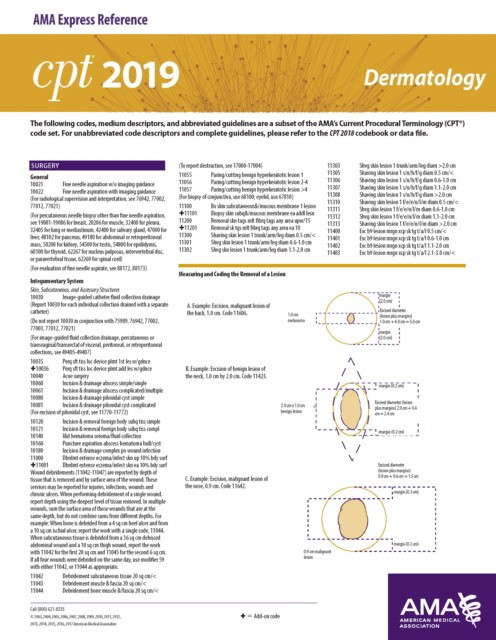 Erc-CPT 2019 Dermatology