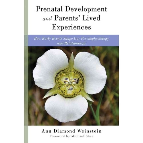 Prenatal Development and Parents' Lived Experiences: How Early Events Shape Our Psychophysiology and Relationships