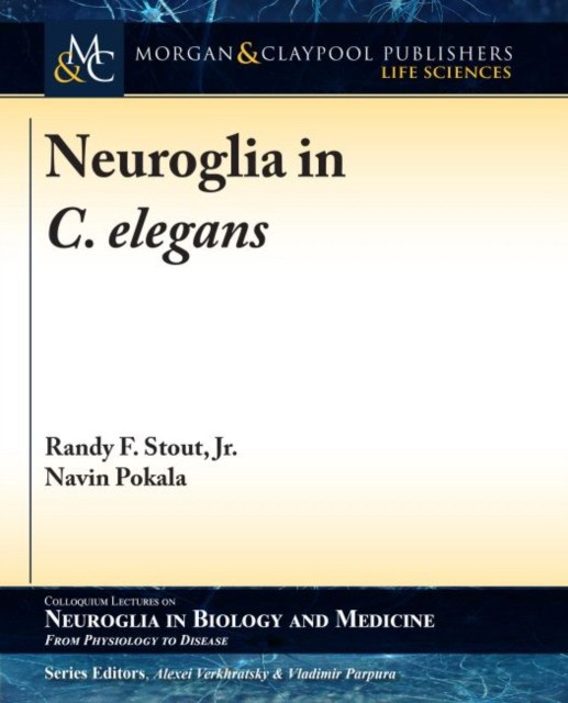 Neuroglia in C. elegans