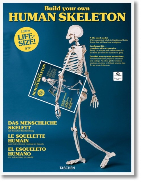 Build Your Own Human Skeleton - Life-Size!