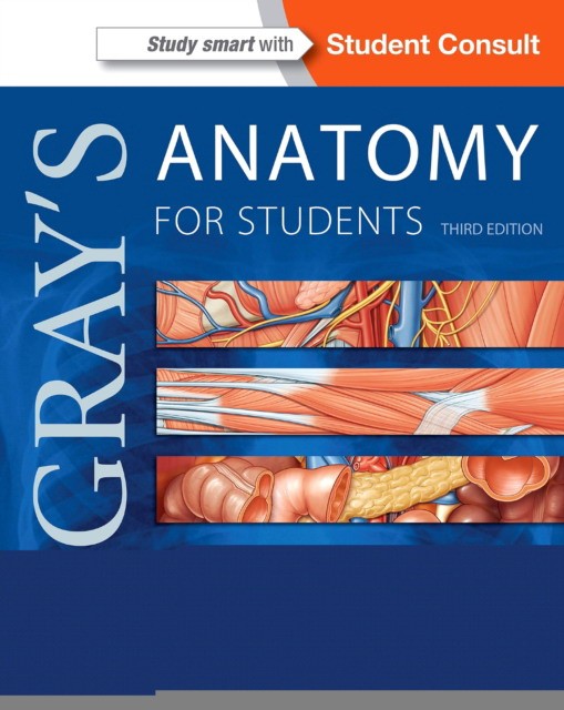 greys anatomy medical book