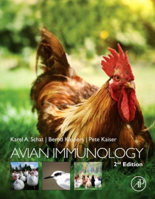 Avian Immunology,