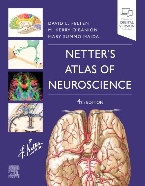Netter`s atlas of neuroscience, 4 ed. Netter`s atlas of neuroscience, 4 ed.