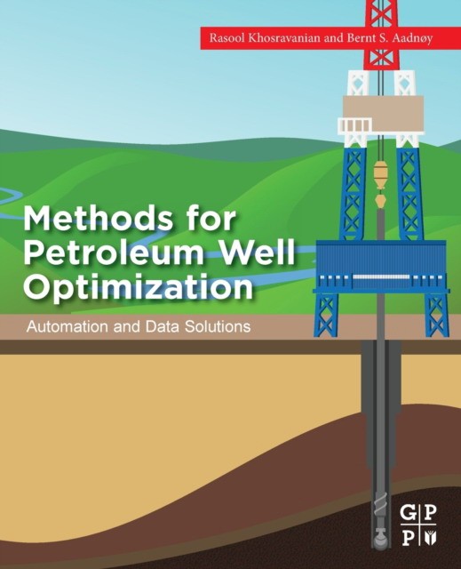 Methods for Petroleum Well Optimization: Automation and Data Solutions