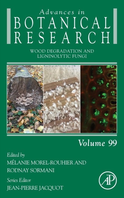 Wood Degradation and Ligninolytic Fungi, 99