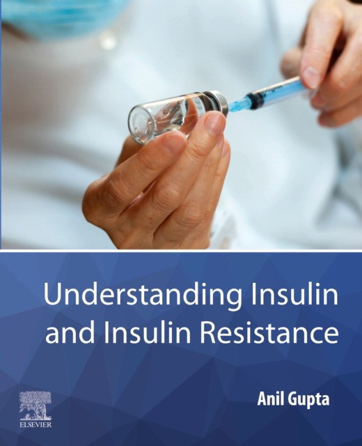 Understanding Insulin And Insulin Resistance