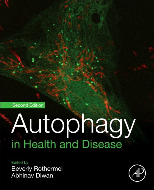 Autophagy In Health And Disease