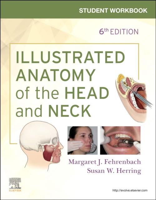 Student workbook for illustrated anatomy of the head and neck
