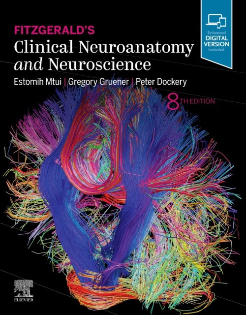Fitzgerald`s clinical neuroanatomy and neuroscience, 8th edition