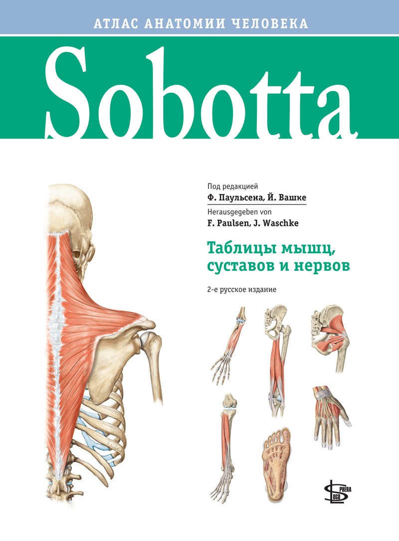 Sobotta. Таблицы мышц, суставов и нервов; приложение к Sobotta. Атлас анатомии человека 