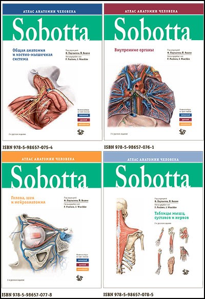 Комплект Sobotta. Атлас анатомии человека. Изд.2. Т1 + Т2+ Т3+таблицы