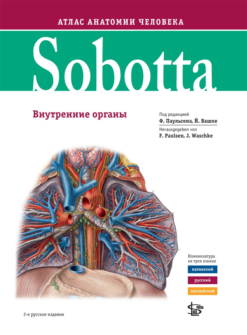 Sobotta. Атлас анатомии человека в 3 т. Том 2: Внутренние органы. Изд. 2