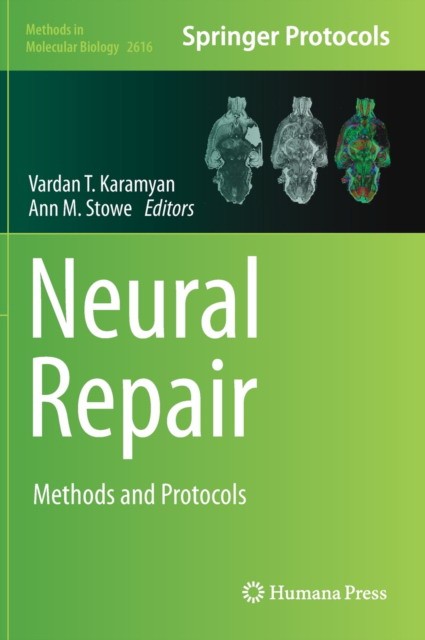 Neural Repair