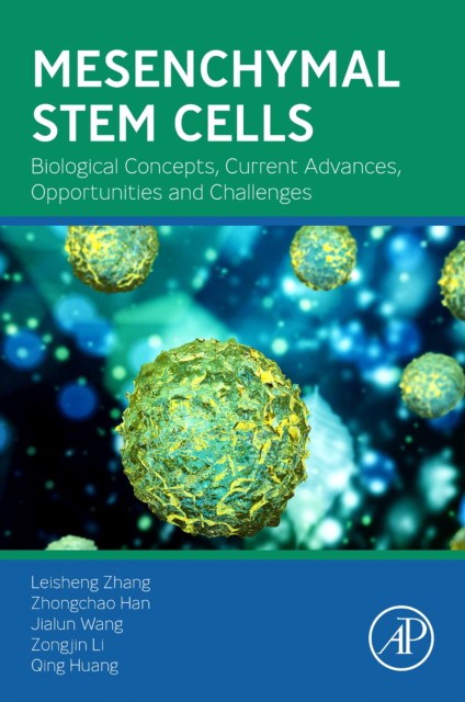 Mesenchymal stem cells