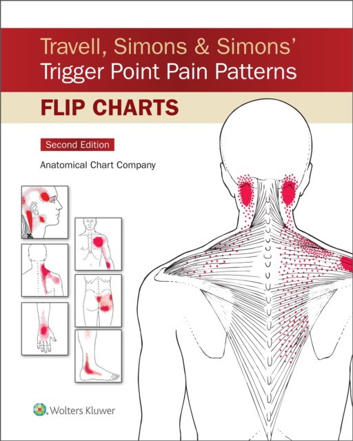 Travell, simons & simons` trigger point pain patterns flip charts