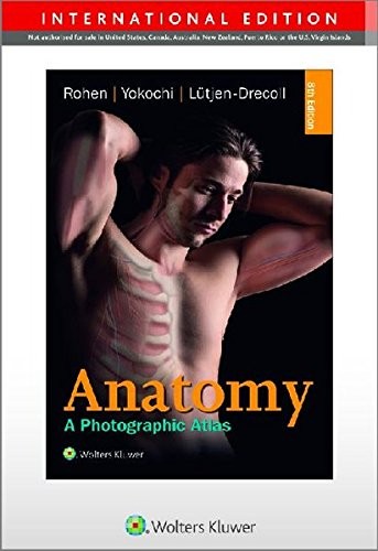 Anatomy Anatomy