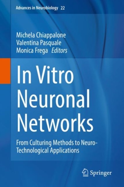 In vitro neuronal networks :