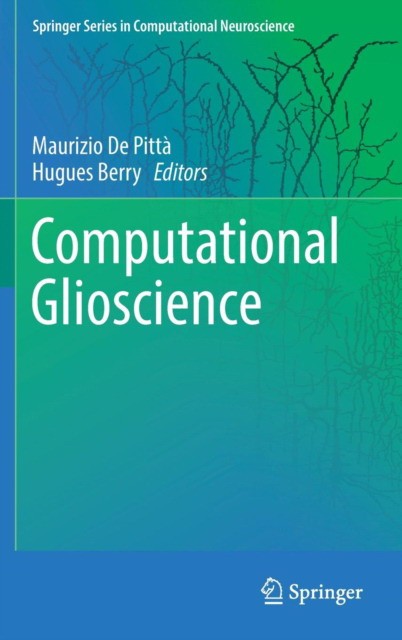 Computational Glioscience
