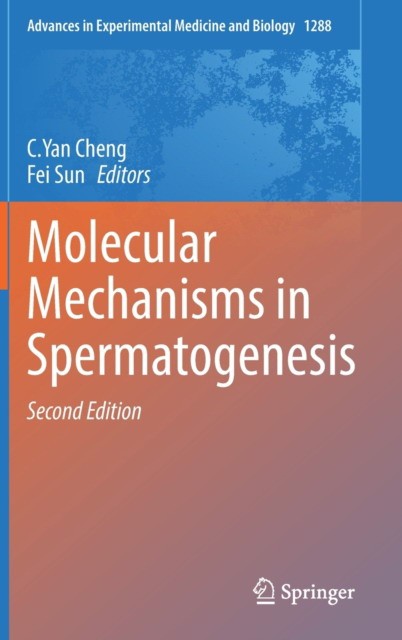Molecular Mechanisms in Spermatogenesis