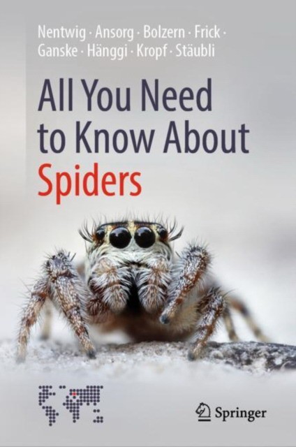 All you need to know about spiders