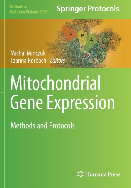 Mitochondrial Gene Expression
