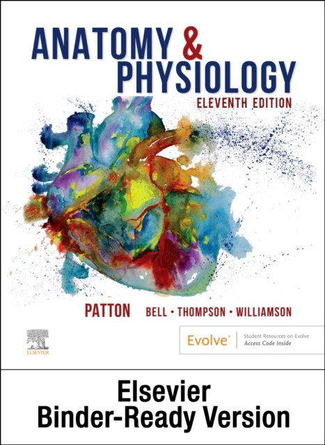 Anatomy & physiology - binder-ready (includes a&p online course)
