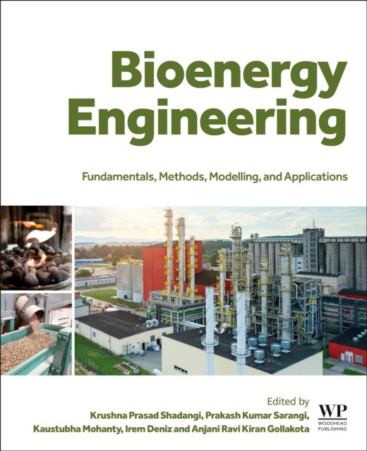 Bioenergy Engineering: fundamentals, methods, modelling and application
