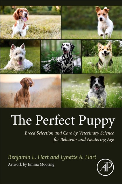 Dog breed selection by veterinary science