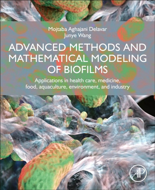 Advanced mathematical modeling of biofilms and its applications
