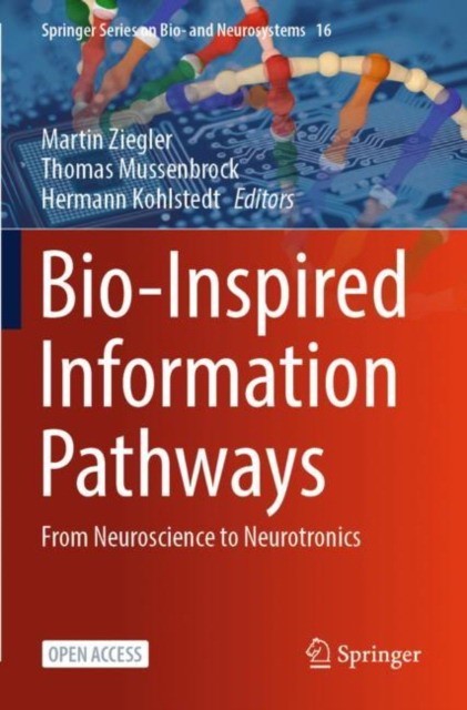 Bio-Inspired Information Pathways From Neuroscience to Neurotronics