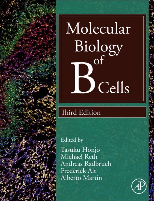 Molecular Biology Of B Cells