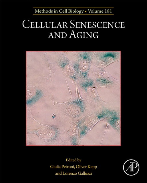 Cellular Senescence And Aging,181