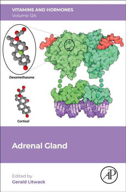 Adrenal Gland,124