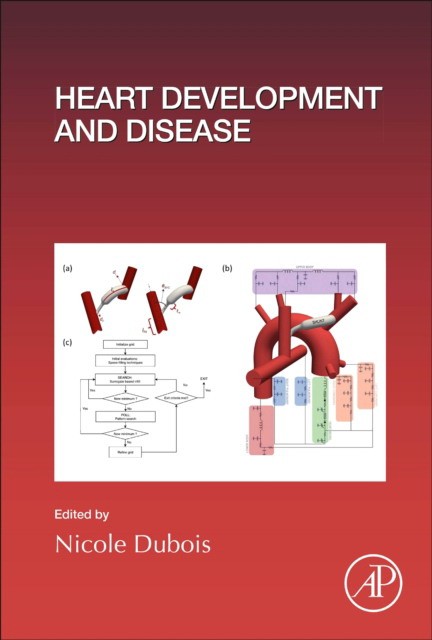 Heart Development And Disease,156
