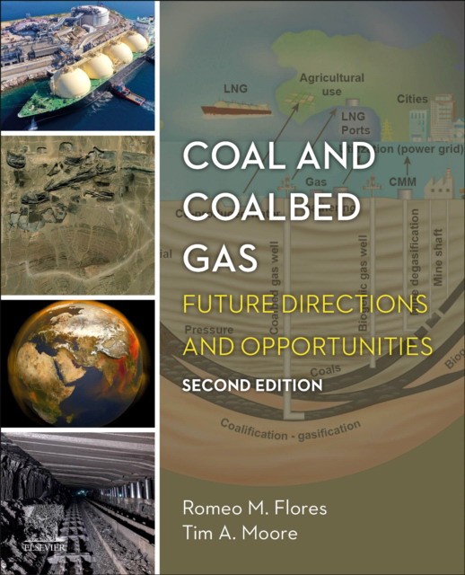 Coal and coalbed gas